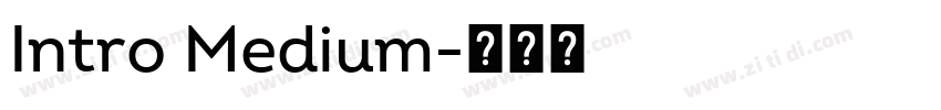 Intro Medium字体转换